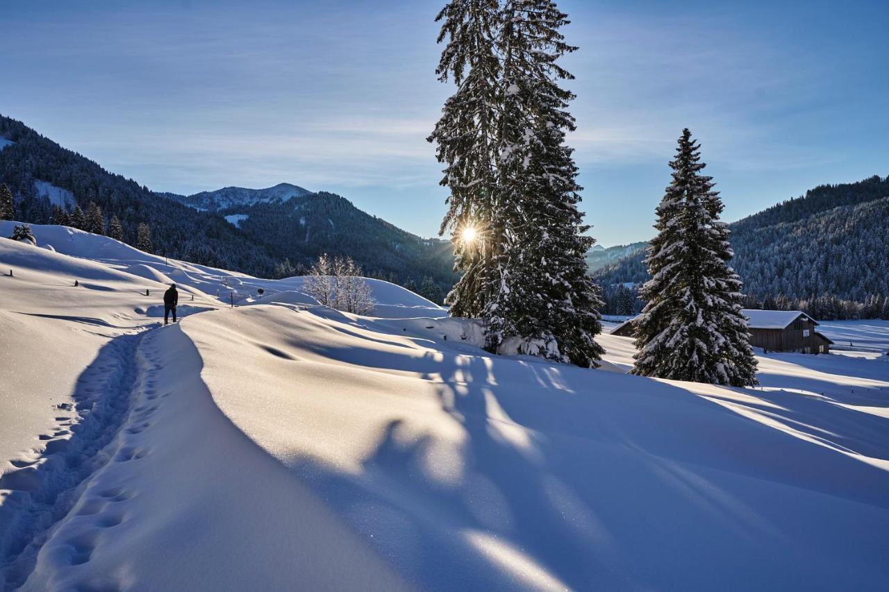 Hubertus Mountain Refugio Allgaeu 발더슈방 외부 사진