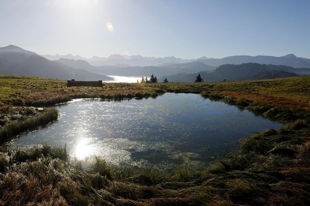 Hubertus Mountain Refugio Allgaeu 발더슈방 외부 사진